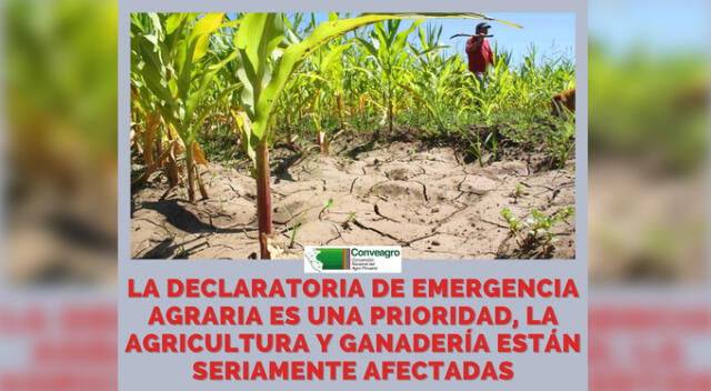 Foto: Twitter de Conveagro.   