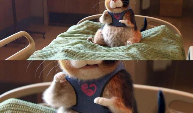 elpopular.pe elpopular.pe