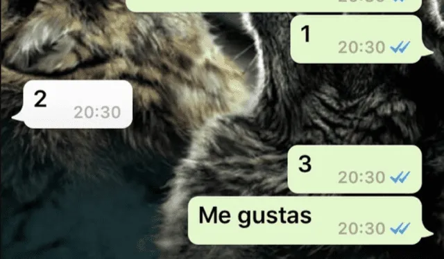 elpopular.pe elpopular.pe