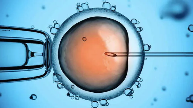 elpopular.pe elpopular.pe