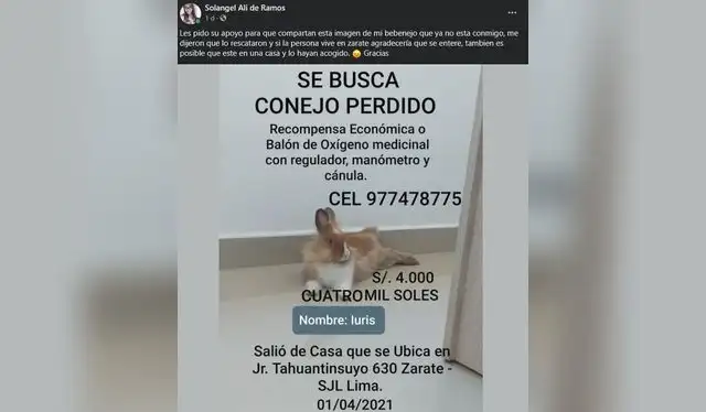 elpopular.pe elpopular.pe