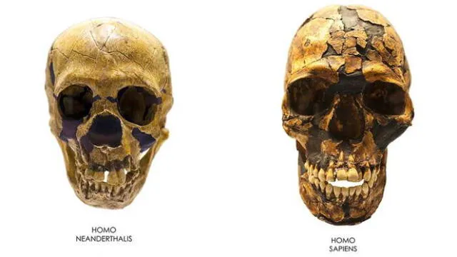 elpopular.pe elpopular.pe