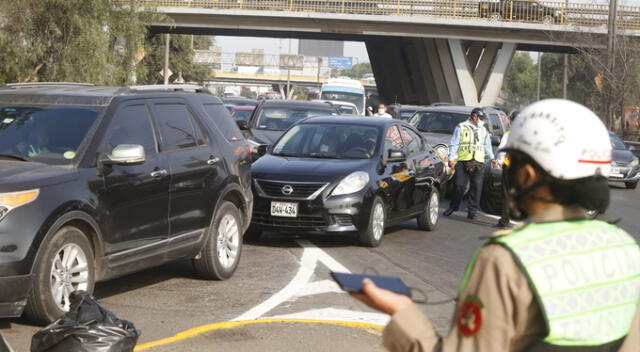Foto: Carlos Félix.   