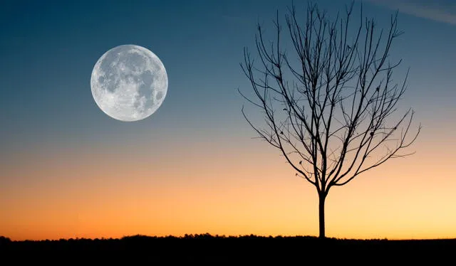  La luna llena de agosto recibe el nombre de luna de esturión. Como en esa fecha el satélite estará más cerca de la Tierra, dará lugar a una superluna. Foto: Pexels   