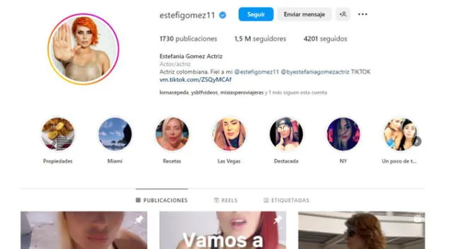  Así luce el perfil de Instagram de Estefanía Gómez. Fuente: Instagram. 