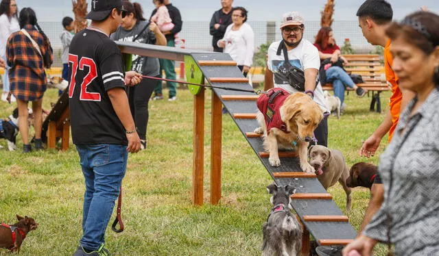 Inauguran el primer parque para perros del Perú en Magdalena del Mar. 