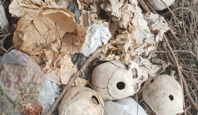 Fueron más de dos docenas de cráneos los que se encontraron en un descampado.