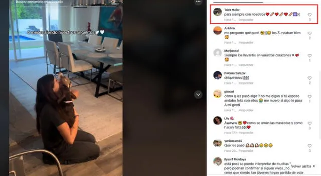 Hija de Christian Meier le comenta a nueva esposa de su papá. Fuente: TikTok.