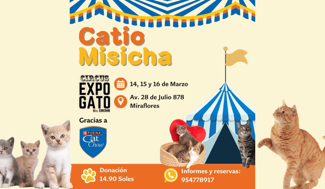 Expogato 2025 promete ser una experiencia inolvidable para los amantes de los gatos. Expogato 2025 promete ser una experiencia inolvidable para los amantes de los gatos.