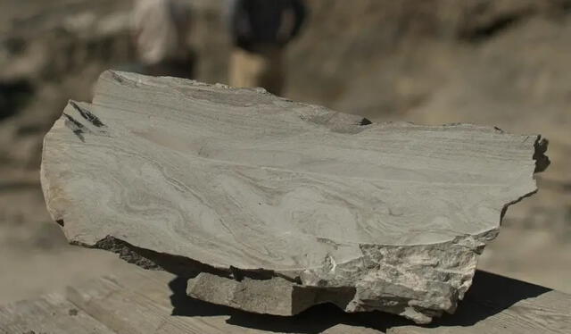 Cementario prehistorico fue descubierto tras impactante investigación. Cementario prehistorico fue descubierto tras impactante investigación.