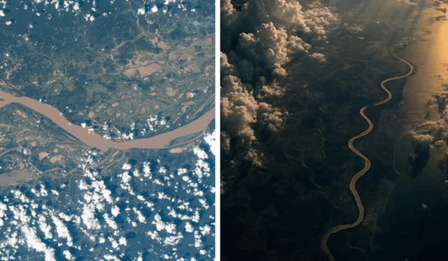 Un llamado de urgencia para proteger uno de los ecosistemas más valiosos del mundo. Un llamado de urgencia para proteger uno de los ecosistemas más valiosos del mundo.
