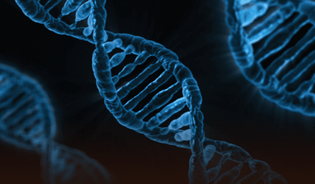  Científicos descubren un nuevo tipo de ADN: ¿de qué se trata y cuáles son sus ventajas?   