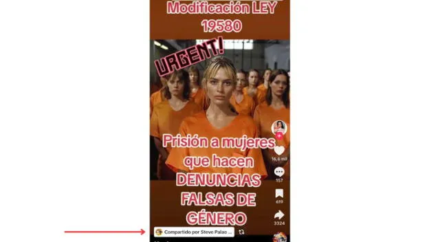 Publicación compartida por Steve Palao. Fuente: TikTok.