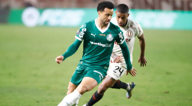 Resultados de Palmeiras y Universitario por Copa Libertadores