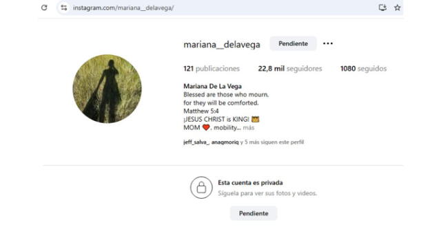 Mariana de la Vega puso su cuenta en privado. Fuente: Instagram.