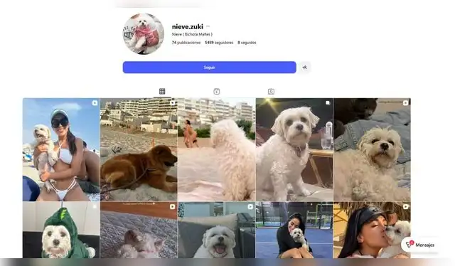 Las últimas publicaciones que Onelia Molina subió tras la pérdida de su 'bebé'. Fuente: Instagram. Las últimas publicaciones que Onelia Molina subió tras la pérdida de su 'bebé'. Fuente: Instagram.