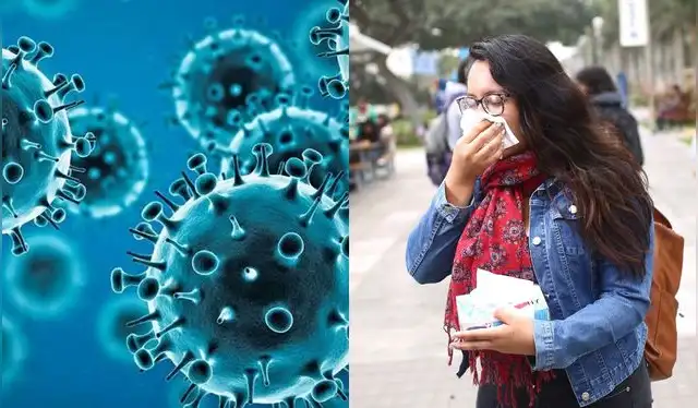 <strong> El Ministerio de Salud activa protocolos ante el aumento de casos de influenza A H3N2, incluido el subclado K, en medio de la temporada gripal del hemisferio norte.</strong>   