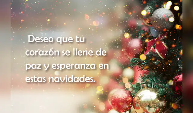 Mensajes cortos y bonitos de navidad para la familia Mensajes cortos y bonitos de navidad para la familia