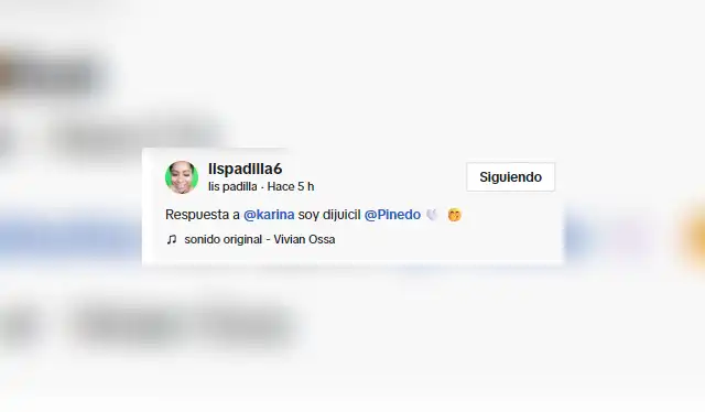 Lis Padilla le responde a usuaria por qué no se besa con su novia. Foto: TikTok.   