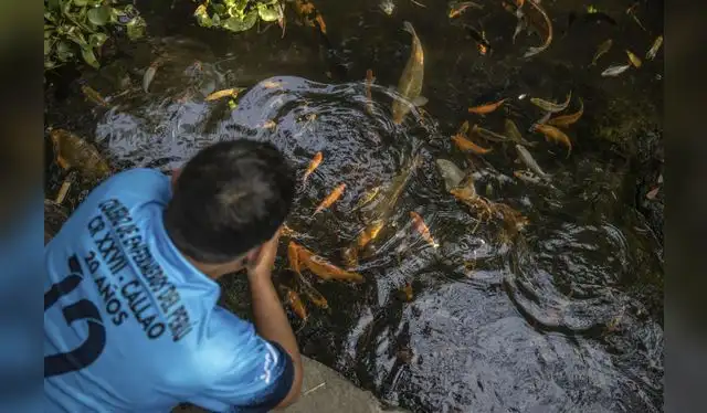 <em>Foto: Andina</em> <em>Foto: Andina</em>