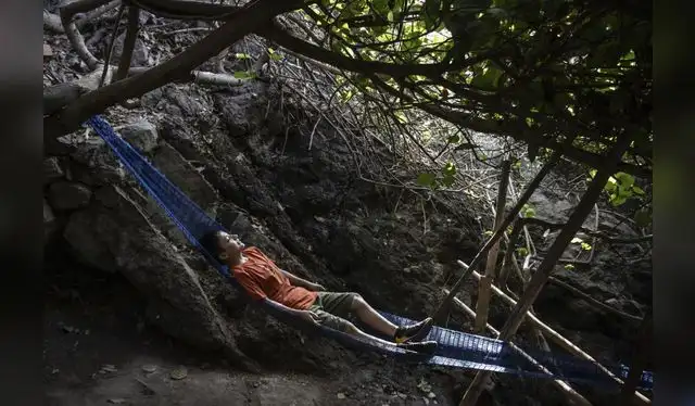 <em>Foto: Andina</em> <em>Foto: Andina</em>