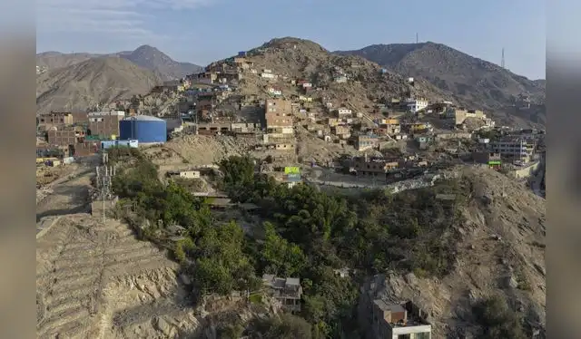 <em>Foto: Andina</em> <em>Foto: Andina</em>