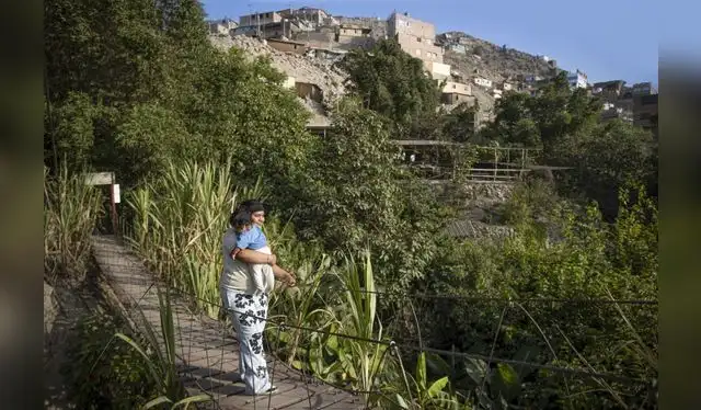 <em>Foto: Andina</em> <em>Foto: Andina</em>