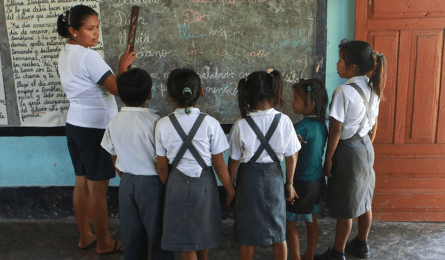  Las brechas en educación son un tema pendiente para el Estado Peruano. Foto: Andina/referencial   