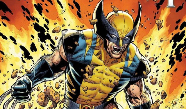 ¿Cómo poner en "modo Wolverine" tu WhatsApp? Foto: Difusión   