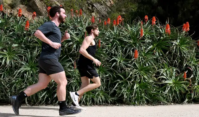La actividad física ayuda a prevenir el temblor de ojo. Foto: AFP La actividad física ayuda a prevenir el temblor de ojo. Foto: AFP