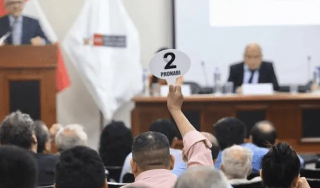 <strong>Los bienes subastados están saneados y registrados a nombre del Estado</strong> <strong>Los bienes subastados están saneados y registrados a nombre del Estado</strong>