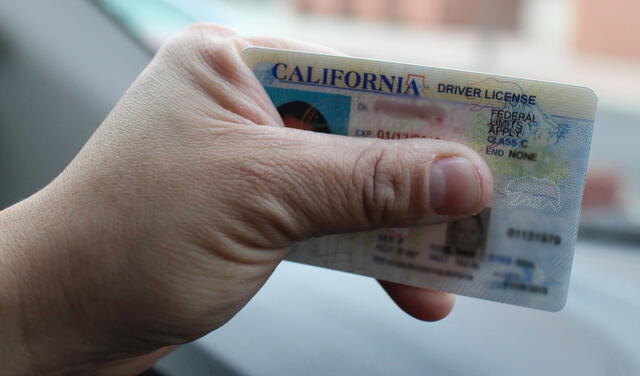 licencia de conducir
