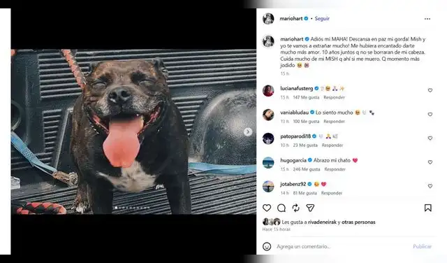 Mario Hart se despide de su mascota con sensible mensaje.