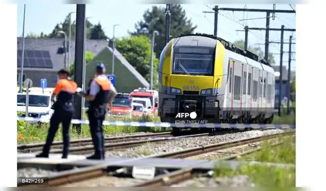 Autoridades belgas investigan las causas del accidente ferroviario que involucró a un minibús escolar. | AFP  