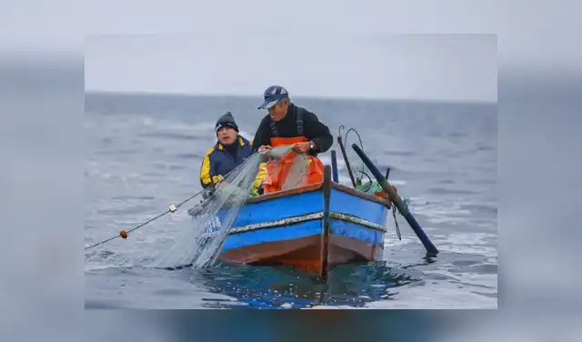 Indeci hace un llamado: evita ingresar al mar. Andina Indeci hace un llamado: evita ingresar al mar. Andina