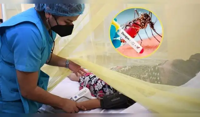 Dengue en aumento: casos suben 22% y El Niño podría elevar el riesgo de brotes. Foto: Composición Ep Dengue en aumento: casos suben 22% y El Niño podría elevar el riesgo de brotes. Foto: Composición Ep