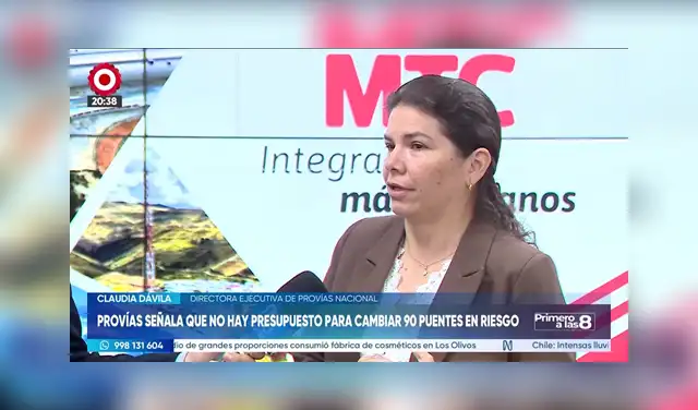 La Directora, Claudia Dávila, indicó que esta limitación impide ejecutar el reemplazo total de los puentes. Foto: Captura Canal N La Directora, Claudia Dávila, indicó que esta limitación impide ejecutar el reemplazo total de los puentes. Foto: Captura Canal N