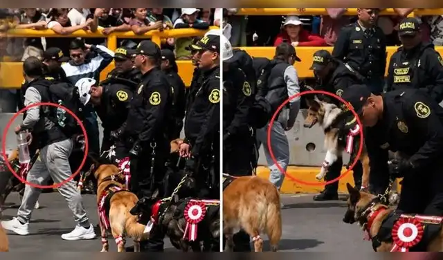 La situación generó preocupación entre las personas ubicadas cerca de la avenida Brasil. Foto: LR. La situación generó preocupación entre las personas ubicadas cerca de la avenida Brasil. Foto: LR.