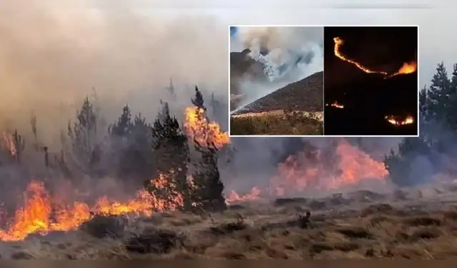 De acuerdo con el reporte complementario del COER, la emergencia se registró la tarde del jueves 6 de agosto en los caseríos de Rodeopampa y Pampagrande. Foto: Composición EP.