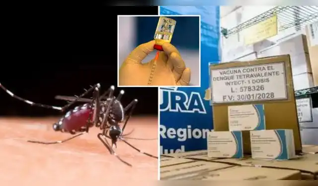 Siete regiones recibirán nuevas dosis contra el dengue. Foto: Composición EP.