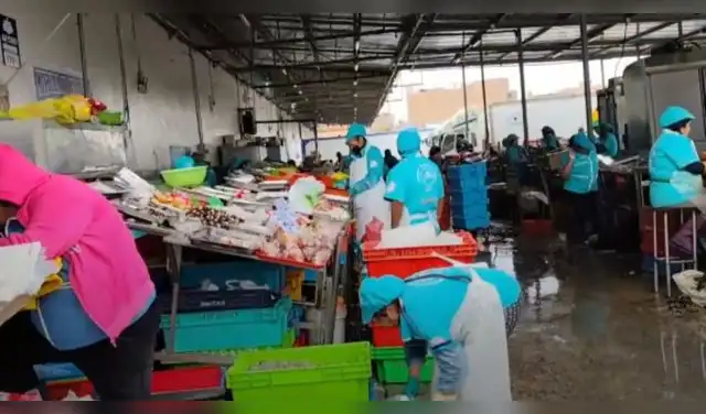 Oleaje anómalo golpea el bolsillo: escasean pescados y comerciantes reportan alza de precios. Foto: RPP. Oleaje anómalo golpea el bolsillo: escasean pescados y comerciantes reportan alza de precios. Foto: RPP.