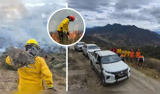 El plan priorizará medidas de prevención, alerta, vigilancia, despliegue de personal especializado, disponibilidad de equipos y coordinación interinstitucional. Foto: Composición EP.