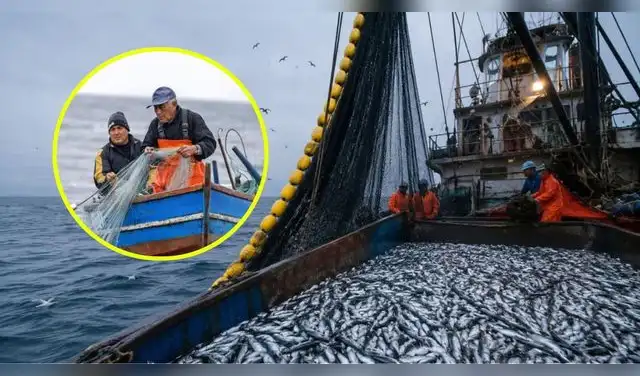 El Niño Costero cambia el mar: estas son las nuevas reglas para los pescadores y las especies que podrán capturar. Foto: Composición EP. El Niño Costero cambia el mar: estas son las nuevas reglas para los pescadores y las especies que podrán capturar. Foto: Composición EP.