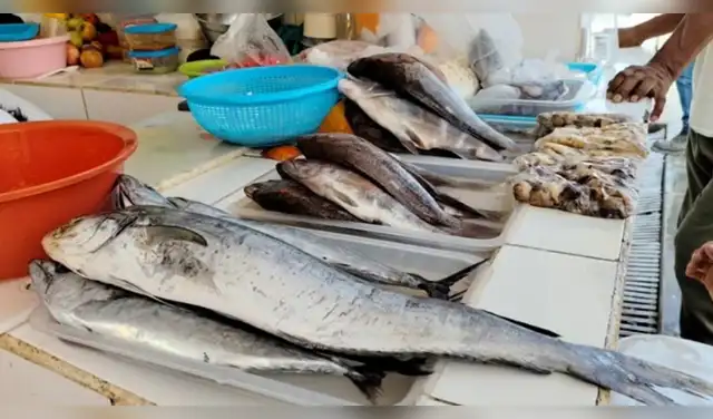 Un reporte evidenció la ausencia de fiscalizadores en el terminal pesquero de Pucusana. Foto: Difusión.