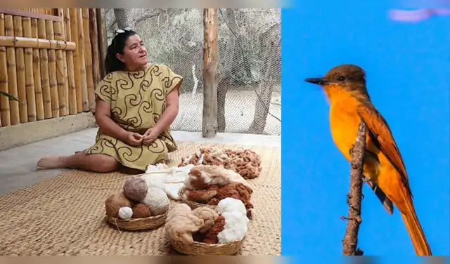 La nueva Ruta del Papa León XIV, circuito turístico-religioso oficial promovido por el Estado peruano, integra importantes destinos de fe, cultura y naturaleza en la región Lambayeque. Foto: Composición EP.
