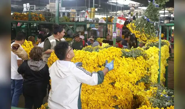 Flores amarillas 21 de septiembre: precios en Lima suben hasta S/70 y esta es la razón. Foto: Difusión.