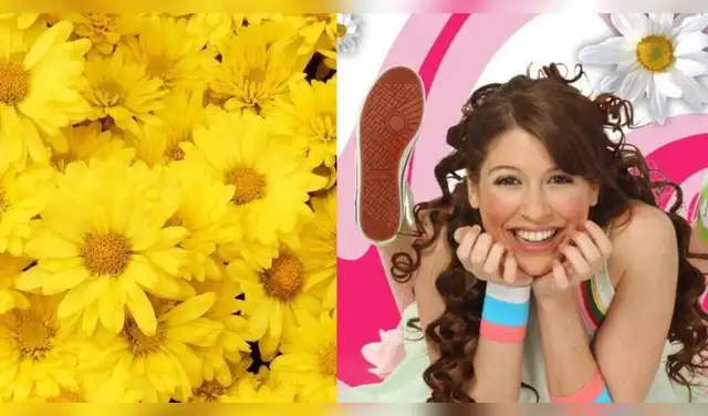 ‘Floricienta’, ‘Girasol’ y más: Reniec revela nombres de miles de peruanos alusivos a la primavera. Foto: Difusión.