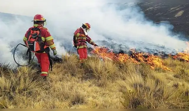 En Puno, el fuego ya provocó la muerte de más de 50 alpacas. Foto: Difusión.