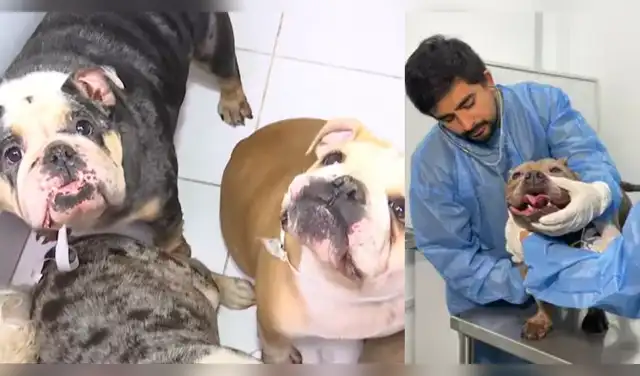 Durante la evaluación también se detectaron signos compatibles con golpe de calor.