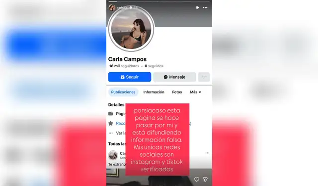 Carla Campos Salazar expone pruebas de suplantación de su identidad. 
